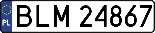 BLM24867