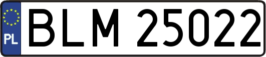 BLM25022