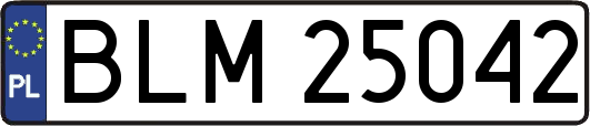 BLM25042
