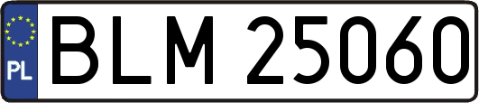 BLM25060