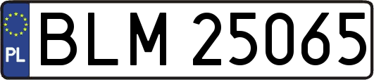 BLM25065