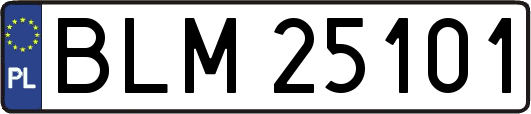 BLM25101