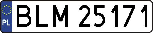 BLM25171