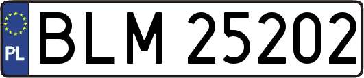 BLM25202