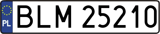 BLM25210