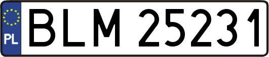 BLM25231