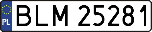 BLM25281