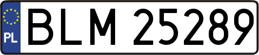 BLM25289