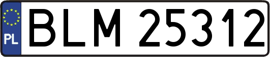 BLM25312