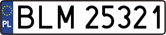 BLM25321