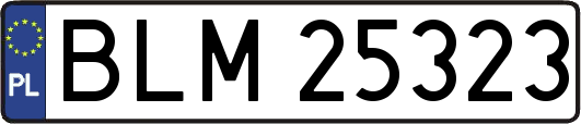 BLM25323