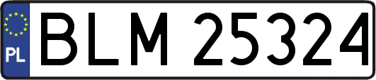 BLM25324