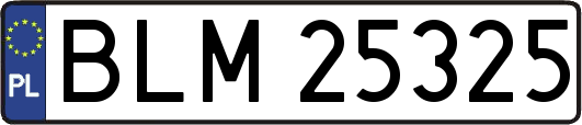 BLM25325