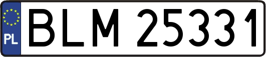 BLM25331