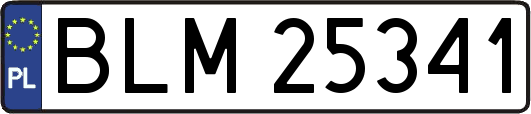 BLM25341