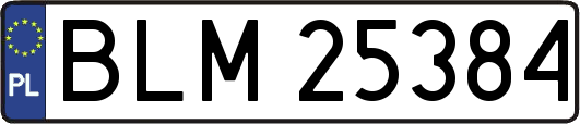 BLM25384