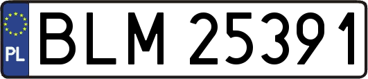 BLM25391