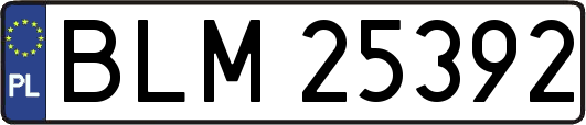 BLM25392