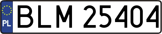 BLM25404
