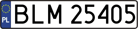 BLM25405