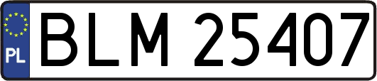 BLM25407
