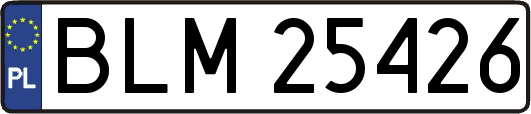 BLM25426