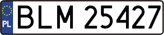 BLM25427