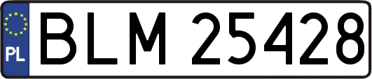 BLM25428