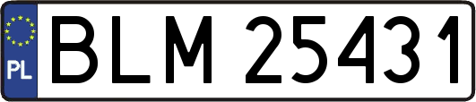 BLM25431