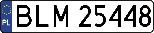 BLM25448