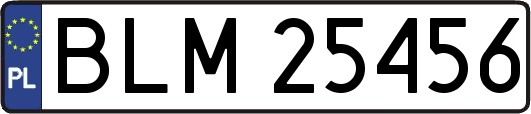 BLM25456