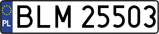 BLM25503