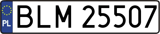 BLM25507