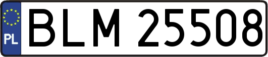 BLM25508