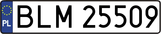 BLM25509
