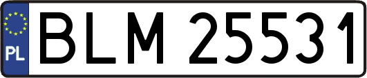BLM25531