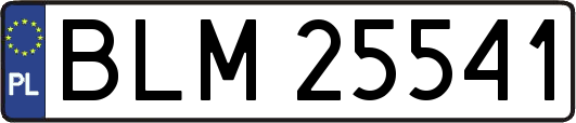 BLM25541