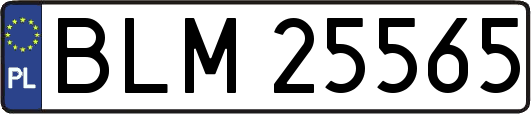 BLM25565