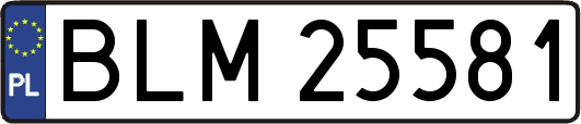 BLM25581