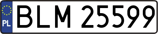 BLM25599
