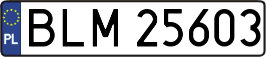 BLM25603