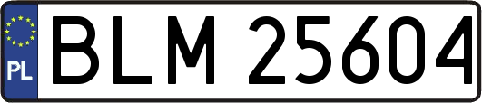 BLM25604