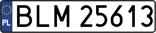 BLM25613
