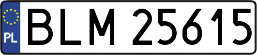 BLM25615