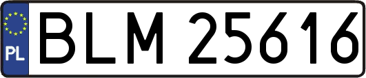 BLM25616