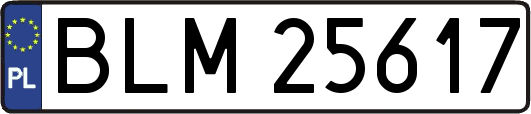 BLM25617