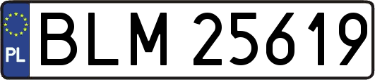 BLM25619