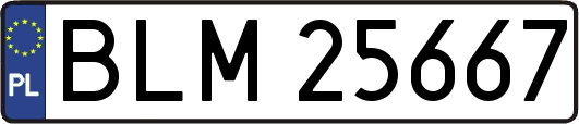 BLM25667