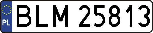 BLM25813