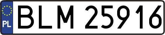 BLM25916
